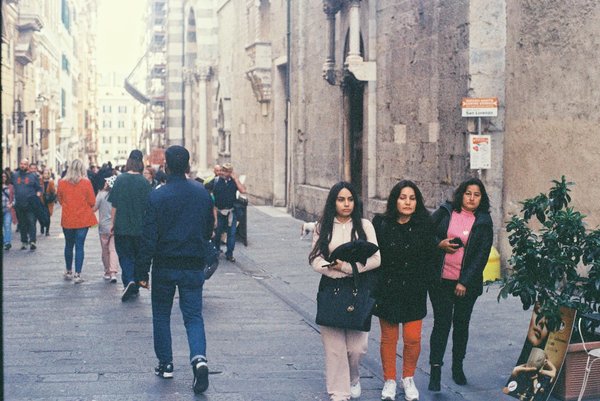 Wie bereitet man einen herzhaften irischen Lamm-Eintopf mit aromatischem Wurzelgemüse zu?