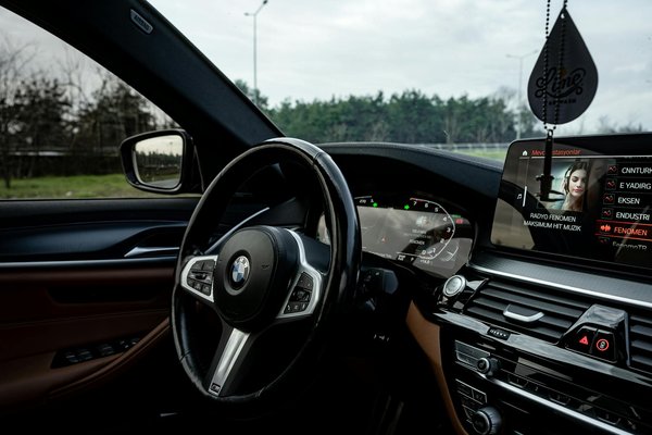 Vegane Ernährung für Hunde: Tipps für eine ausgewogene Futterauswahl